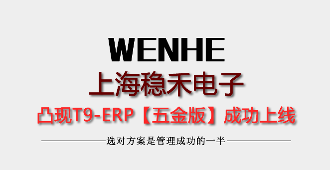 上海穩(wěn)禾電子五金沖壓凸現(xiàn)T9-ERP成功上線